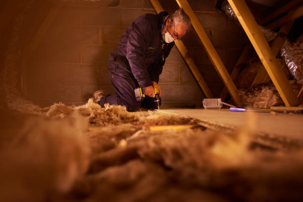 Best Fiberglass Insulation  in Coaldale, PA